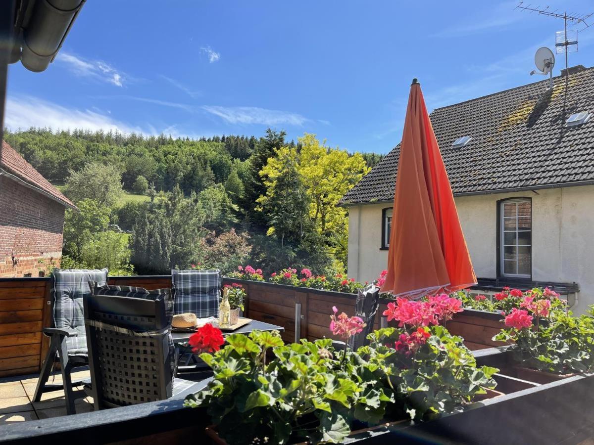 Bergparadies Diemelsee Schweinsbuhl Eksteriør bilde